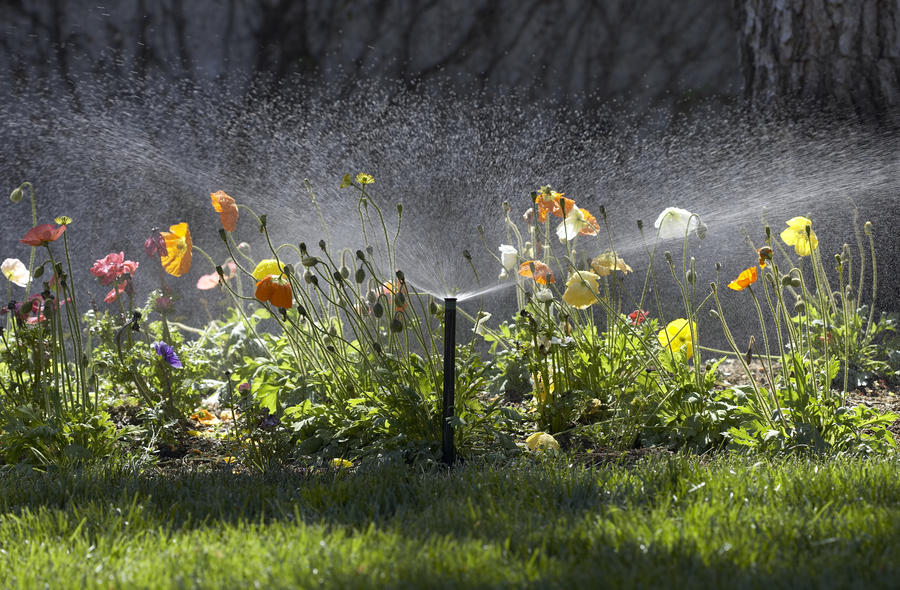 Pro spray sproeinozzles voor het perfecte sproeibeeld voor uw tuin.